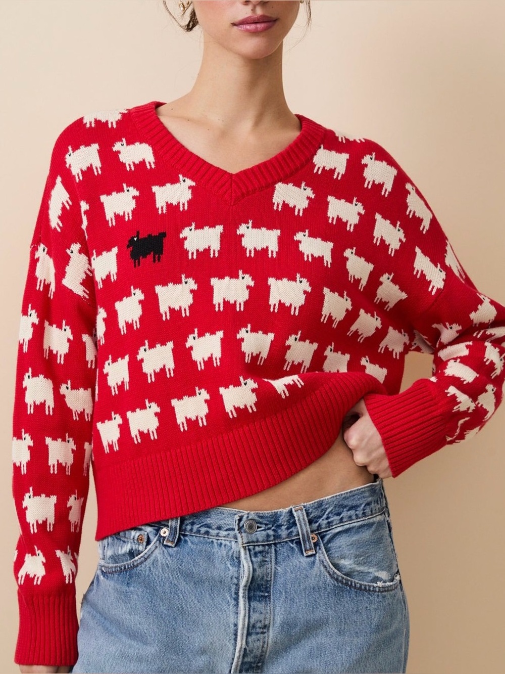 NWOT Rowing Blazers Warm & Wonderful Diana Cotton Linen V-Neck Sheep Sweater Red